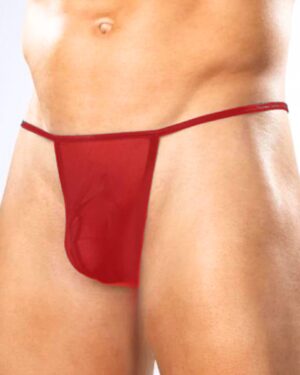 Kalbinle Fantezi Kırmızı Transparan Seksi Tül Erkek String TG274602