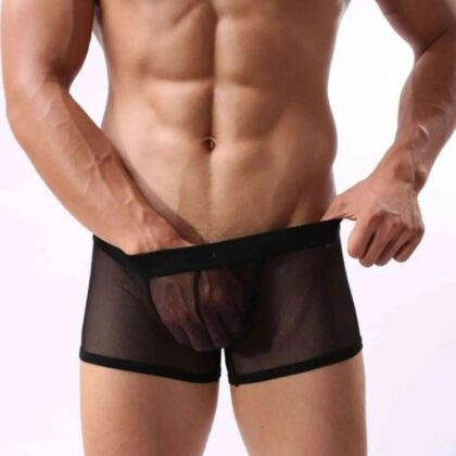 Kalbinle Fantezi Transparan Tül Erkek Boxer Fantezi Tanga TG274603