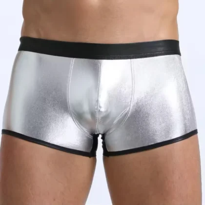 Kalbinle Fantezi Deri Görünümlü Gümüş Erkek Boxer Tanga TG274607