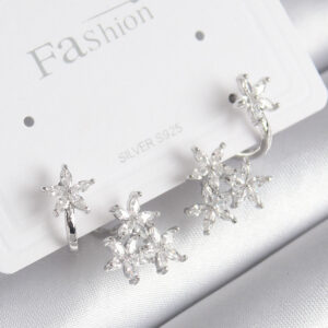 Pirinç Gümüş Renk Zirkon Taşlı Çiçek Tasarım Kadın Küpe BKP8606