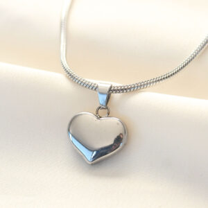 316L Çelik Gümüş Renk Kalp Kolye BKO8509