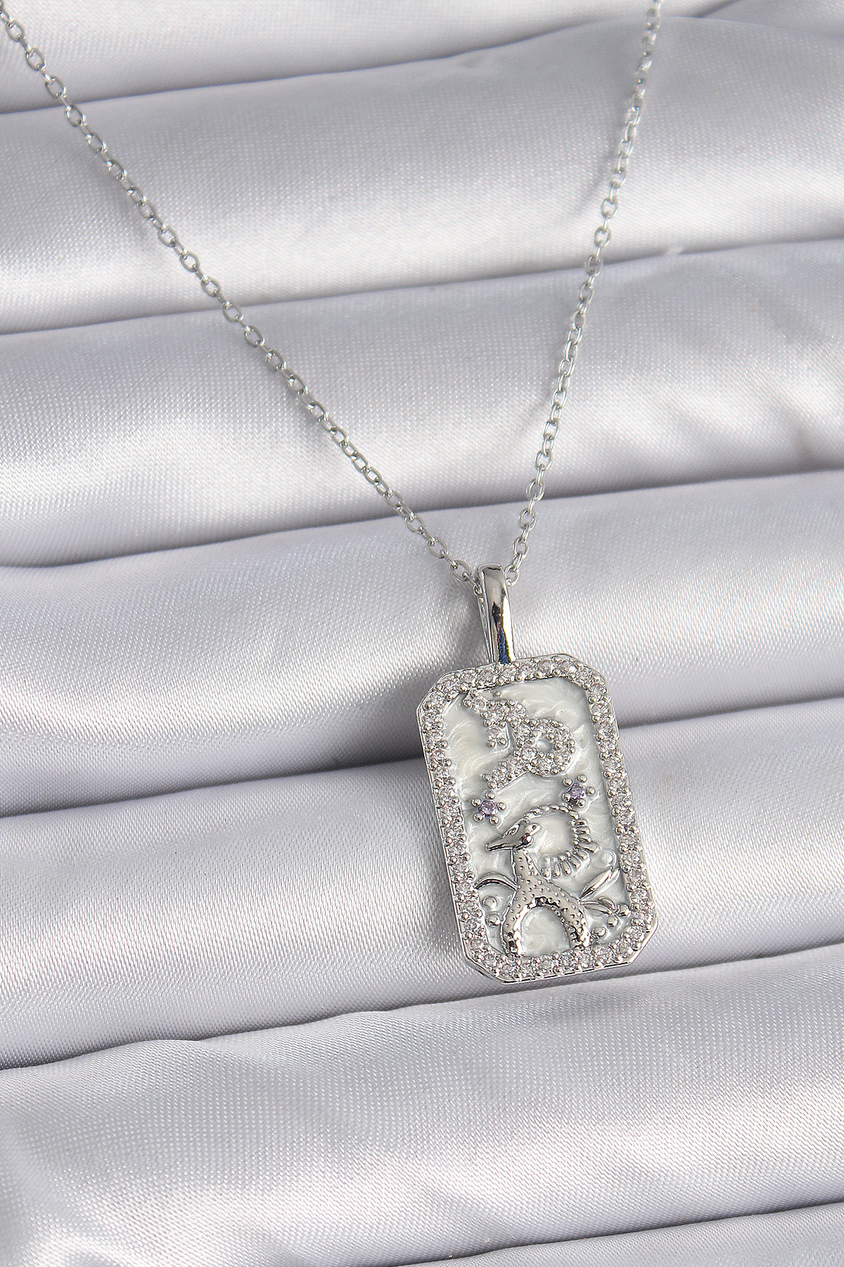 316L Çelik Gümüş Renk Zincir Oğlak Burcu Zirkon Taşlı Kadın Kolye BKO9449