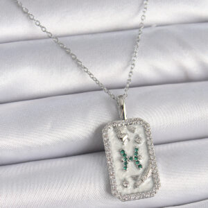 316L Çelik Gümüş Renk Zincir Balık Burcu Zirkon Taşlı Kadın Kolye BKO9455