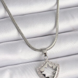 316L Çelik Gümüş Renk İtalyan Zincir Zirkon Taşlı Kutup Yıldızı İşleme Model Kadın Kolye BKO9535