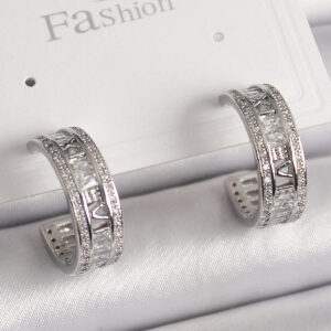 Pirinç Gümüş Renk Zirkon Taşlı İşleme Detay Halka Model Kadın Küpe BKP9914