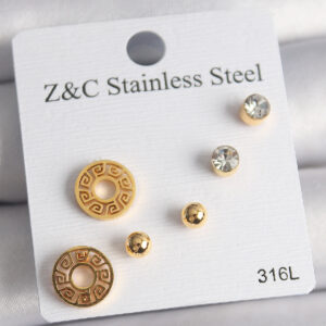 316L Çelik Gold Renk Zirkon Taşı Labirent Model Kadın Küpe Seti BKP10011
