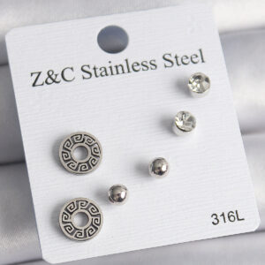 316L Çelik Gümüş Renk Zirkon Taşlı Labirent Model Kadın Küpe Seti BKP10012