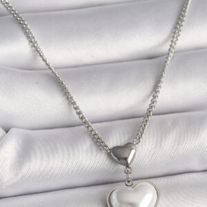 316L Çelik Gümüş Renk Zincir 3D Kalp Model Kadın Kolye BKO9771