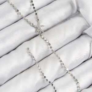 Pirinç Zirkon Taşlı Ezme Zincirli Deniz Yıldızı Model Gümüş Renk Y Kolye BKO10466