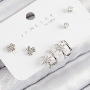 Pirinç Zirkon Taşlı Kutup Yıldızı Model Gümüş Renk 925 Ayar Gümüş Çivi Kadın Küpe Set BKP11167