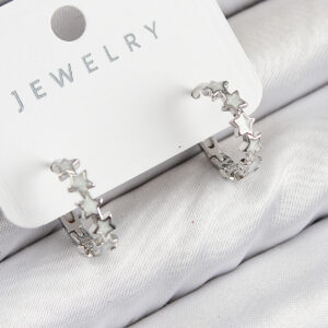 Pirinç Zirkon Taşlı Yıldız Model Gümüş Renk Kadın Küpe BKP11065