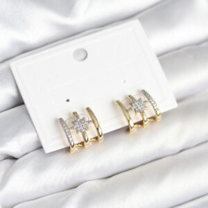 Kaburga Model Kutup Yıldızı Detaylı Gold Renk Kadın Küpe BKP11296