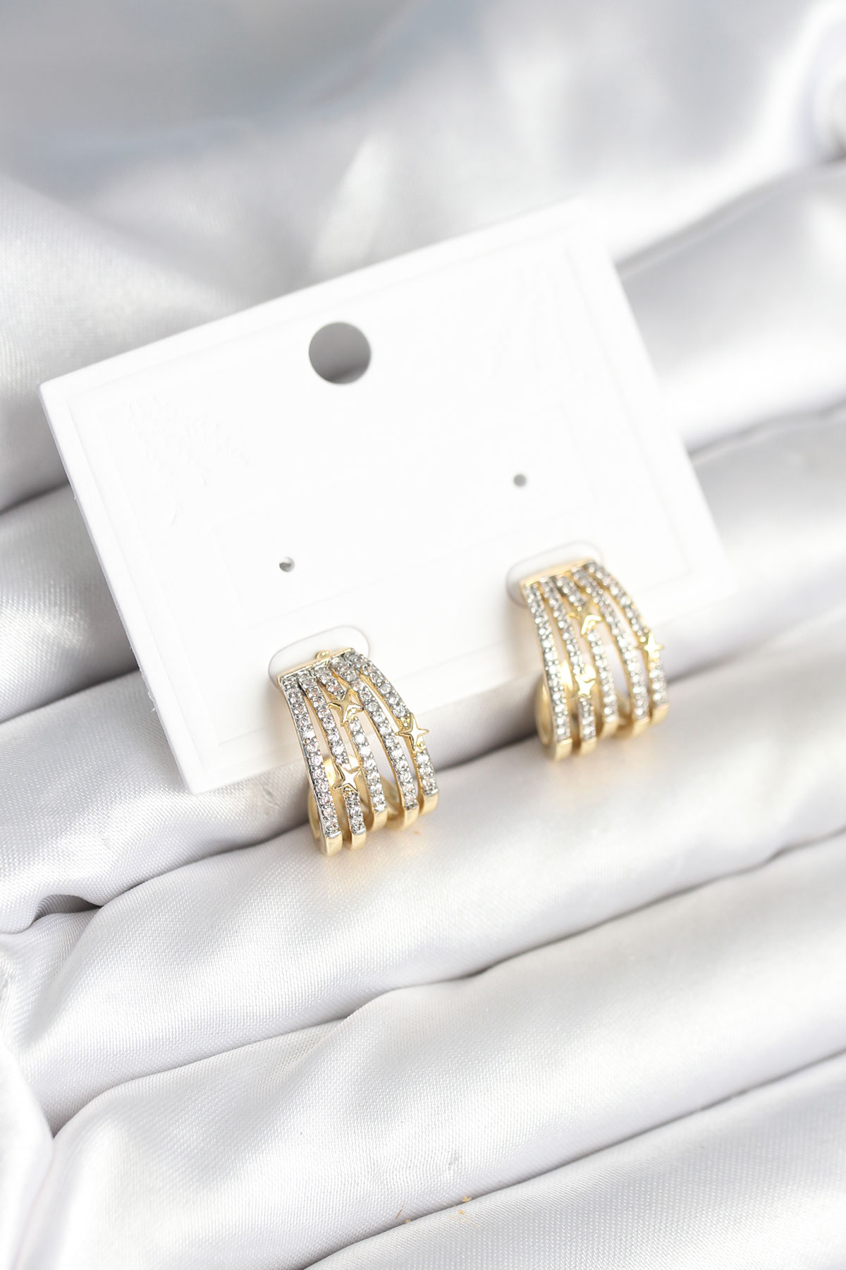 Kaburga Model Zirkon Taşlı Pirinç Kadın Küpe BKP11310