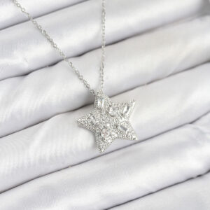 316L Çelik Zincir Gümüş Renk Yıldız Model Kadın Kolye BKO10624