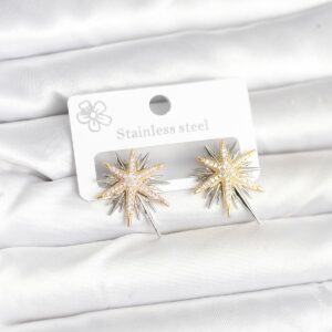 Pirinç Gümüş Renk Kutup Yıldızı Kadın Küpe BKP11392